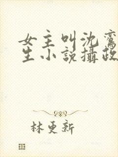 女主叫沈鸾的重生小说摄政王