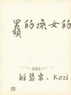 男的操女的,视频