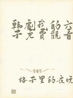 韩剧我的六个孩子免费观看