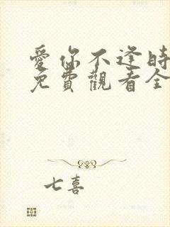 爱你不逢时短剧免费观看全集高清封面