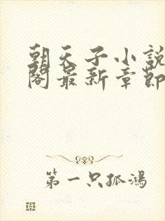 朝天子小说笔趣阁最新章节封面