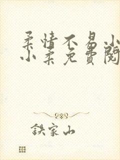 柔情不易小说乔小柔免费阅读