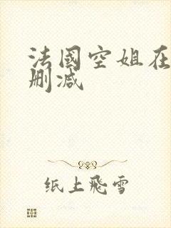 法国空姐在线无删减封面