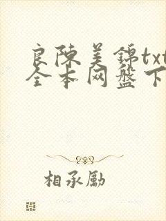 良陈美锦txt全本网盘下载