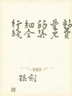 纤细的爱动漫在线全集免费观看