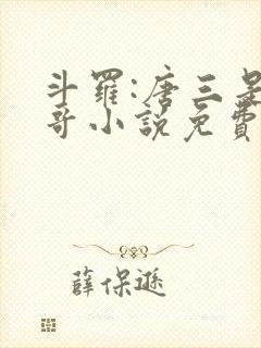 斗罗:唐三是我哥小说免费阅读封面