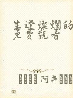 生逢灿烂的日子免费观看封面