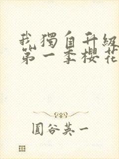 我独自升级动漫第一季樱花动漫封面