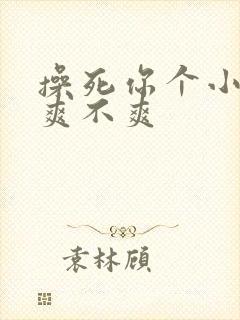 操死你个小骚货爽不爽