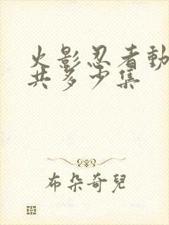 火影忍者动画一共多少集