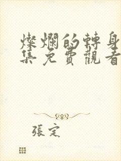 灿烂的转身40集免费观看高清封面