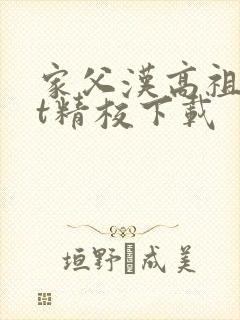 家父汉高祖txt精校下载