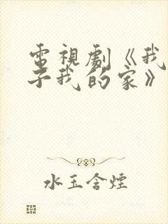 电视剧《我的孩子我的家》