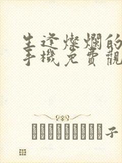 生逢灿烂的日子手机免费观看封面