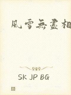 风雪无尽相思情封面
