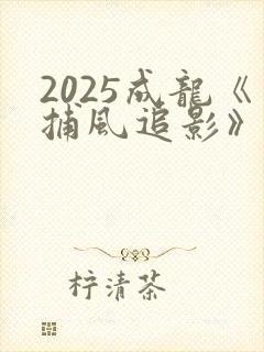 2025成龙《捕风追影》国语免费