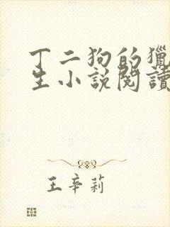 丁二狗的猎艳人生小说阅读