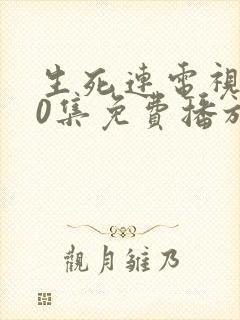 生死连电视剧40集免费播放