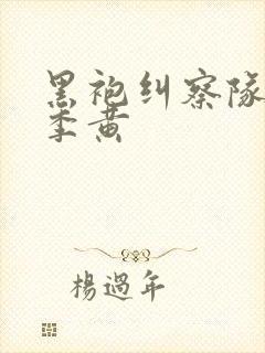 黑袍纠察队哪一季黄封面