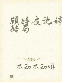 顾时夜沈婷晚大结局