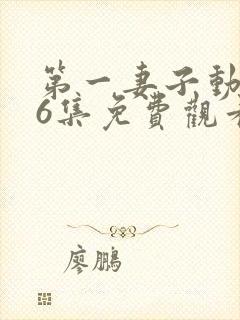 第一妻子动漫第6集免费观看全集封面