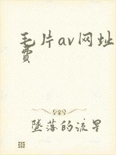 毛片av网址免费