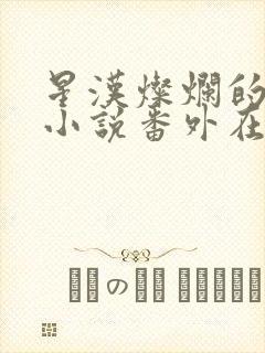 星汉灿烂的原著小说番外在线阅读