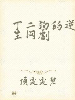 丁二狗的逆袭人生网剧