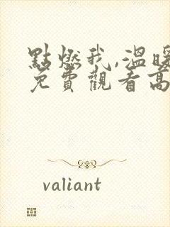 点燃我,温暖你免费观看高清