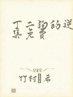 丁二狗的逆袭全集免费