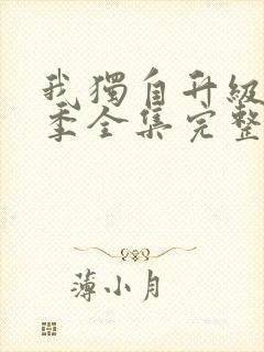 我独自升级第二季全集完整版