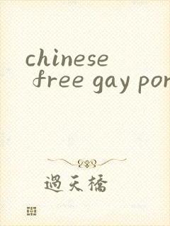 chinese free gay porn
