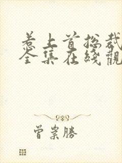 惹上首总裁免费全集在线观看动漫