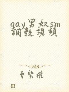 gay男奴sm调教视频封面