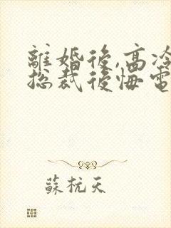 离婚后,高冷女总裁后悔电子版