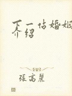 下一站婚姻剧情介绍