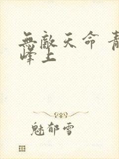 无敌天命 青鸾峰上