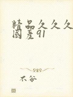 精品久久久久久国产91