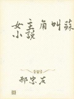 女主角叫苏琳的小说封面