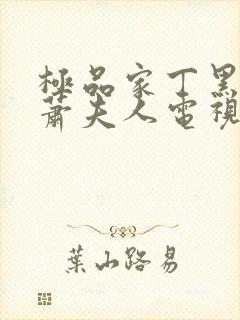 极品家丁黑昆仑萧夫人电视剧封面