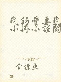 我的爱妻我的父小冉小说阅读免费封面
