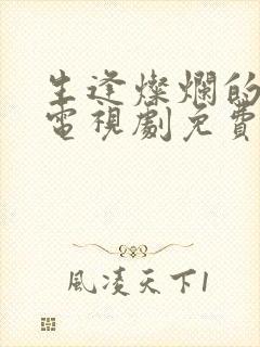 生逢灿烂的日子电视剧免费观看全集封面