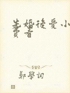 先婚后爱小说免费看封面