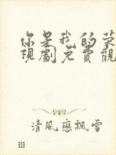 你是我的荣耀电视剧免费观看全集在线播放