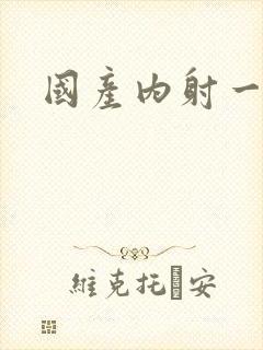 国产内射一片一