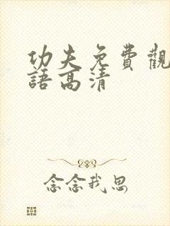 功夫免费观看国语高清