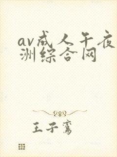 av成人午夜亚洲综合网