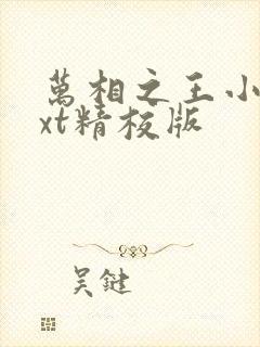 万相之王小说txt精校版封面