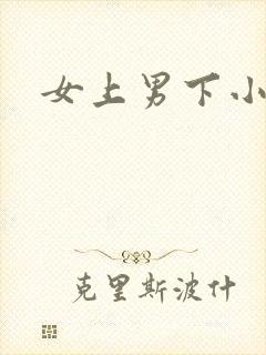 女上男下小说