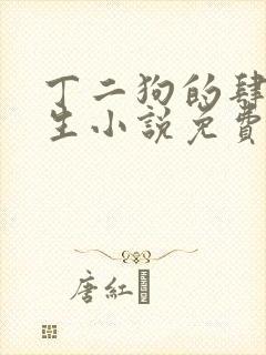 丁二狗的肆意人生小说免费1